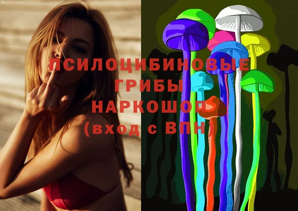 мдпв Инта