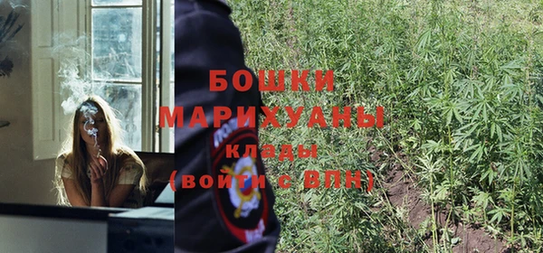 мдпв Инта