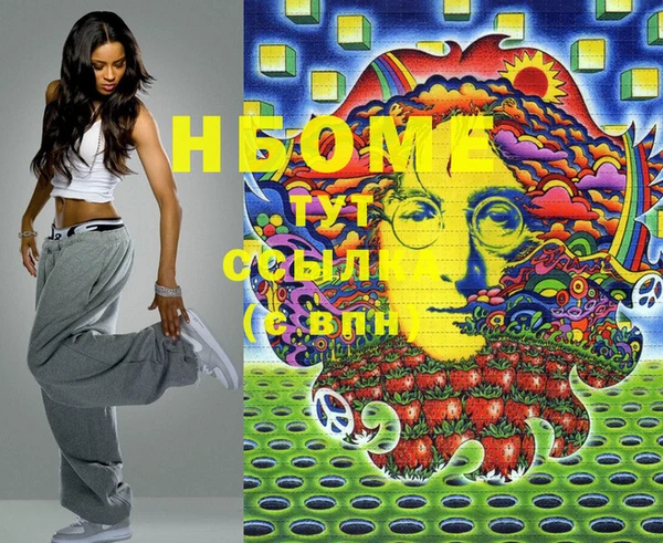 мдпв Инта